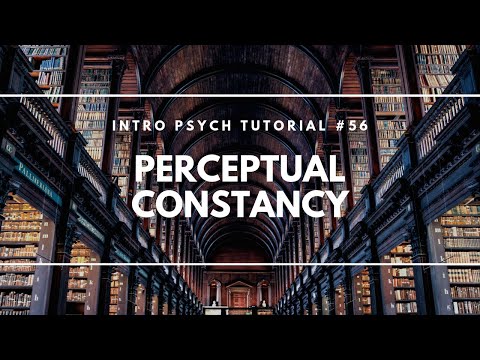 Introduction to Sensation and Perception Intro Psych Tutorial 40