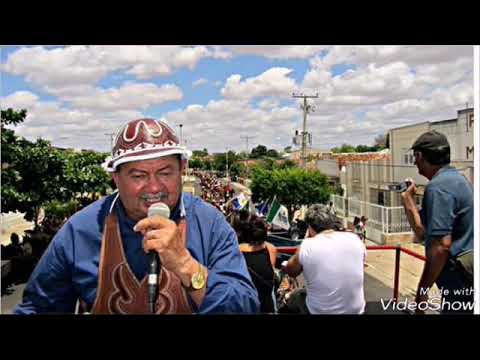 #11 ZÉ DE ALMEIDA, Égua Suzana