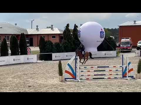 Claud (Falaise de Muse x Action Breaker) 2023/05/02 ZR Olsza- 110 cm I SPRZEDANY / SOLD