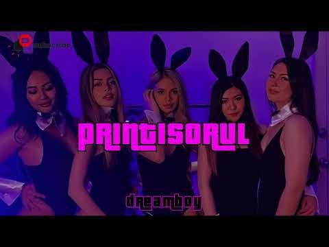 FLORINEL, IOANA, DIANA, ELIZA, LAURA SI PLAJ AJ - PRINTISORUL