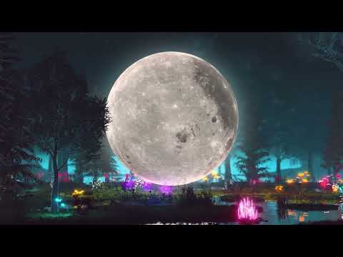 A Cúpula - Coração Pirado (Official Music Visualizer)