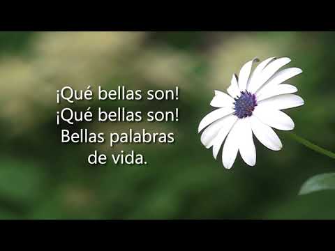 Himno 204 - Oh, cantádmelas otra vez (PISTA)