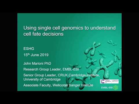E01.1 Using single cell genomics to understand cell fate decisions