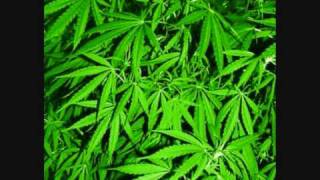 Eek a Mouse - Mr.Hitler