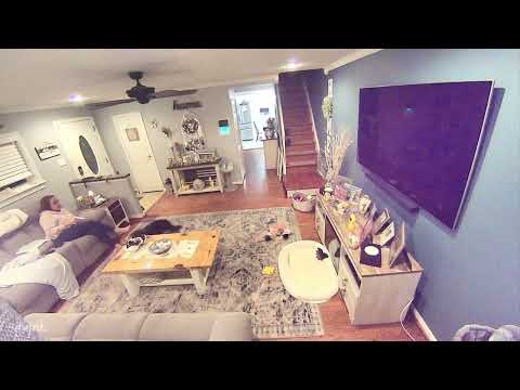 Lightning scares the shit out of the Dog!!