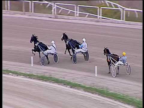 Trotto 10/11/2019 - prova di qualifica