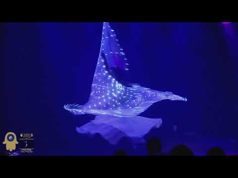 Aurora Performing  Alf Leila ya Leila Led Isis Wings Show