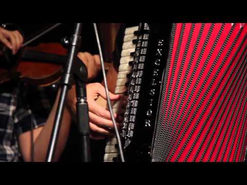 The Felice Brothers - "Bird On A Broken Wing" - Radio Woodstock 100.1 - 6/17/14