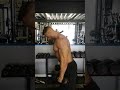 lower-mid back hyper deadlift-shrug