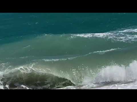 BEACHES OF CATANZARO LIDO CALABRIA and the magical forrest called the pineta #calabria #italian