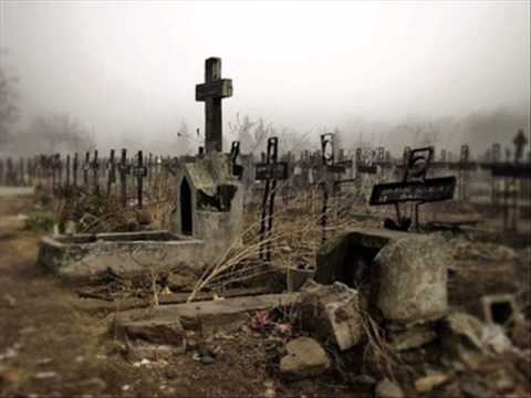 Baniotletyka (Cezar x Muzk x Emoha) - Cmentarz nienawiści