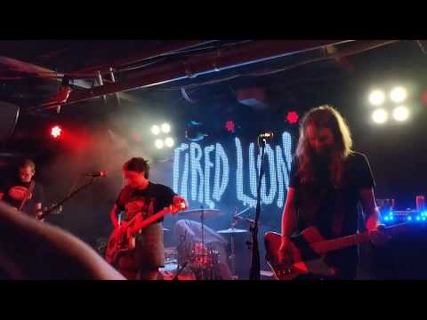 download lagu mp3 mp4 Tired Lion Dumb Days Vinyl, download lagu Tired Lion Dumb Days Vinyl gratis, unduh video klip Tired Lion Dumb Days Vinyl