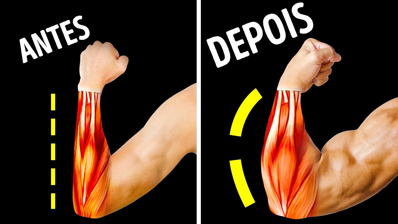 14 Exercícios Essenciais para Antebraços Maiores