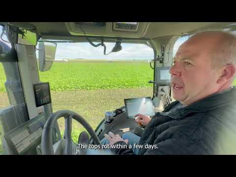 Red River Valley Sugar Beet Harvest 2024