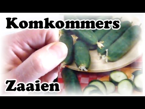 , title : 'De Moestuin #23: Komkommers Zaaien'