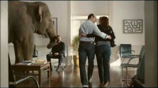 Pfizer - Elephant In The Room
