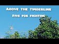 Five for Fighting || Above The Timberline || Lyrics song