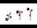 The Power Clean And Push Jerk