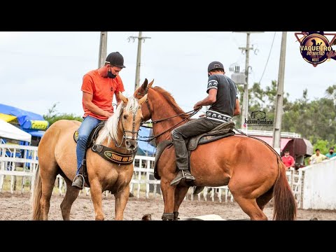 Doutozin Do Gado Iguinho é lulinha - Clipe De vaquejada [Vaqueiro Do Sertão Music]