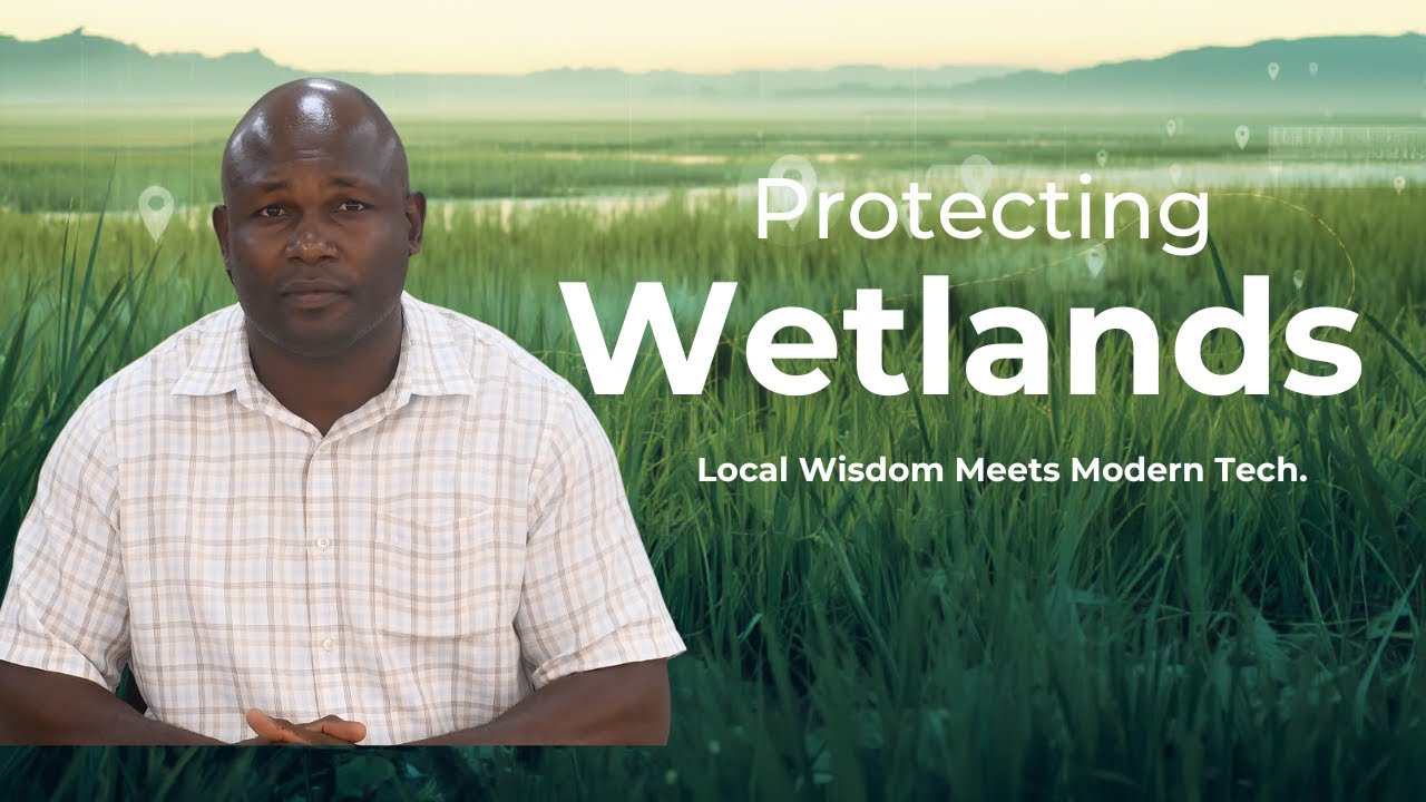 Protecting the wetlands - Local wisdom meets modern tech.