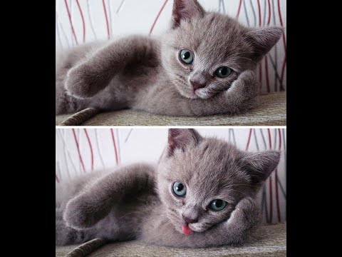 Mastering Chaos / Stay Clear Minded!  #LearnStuff