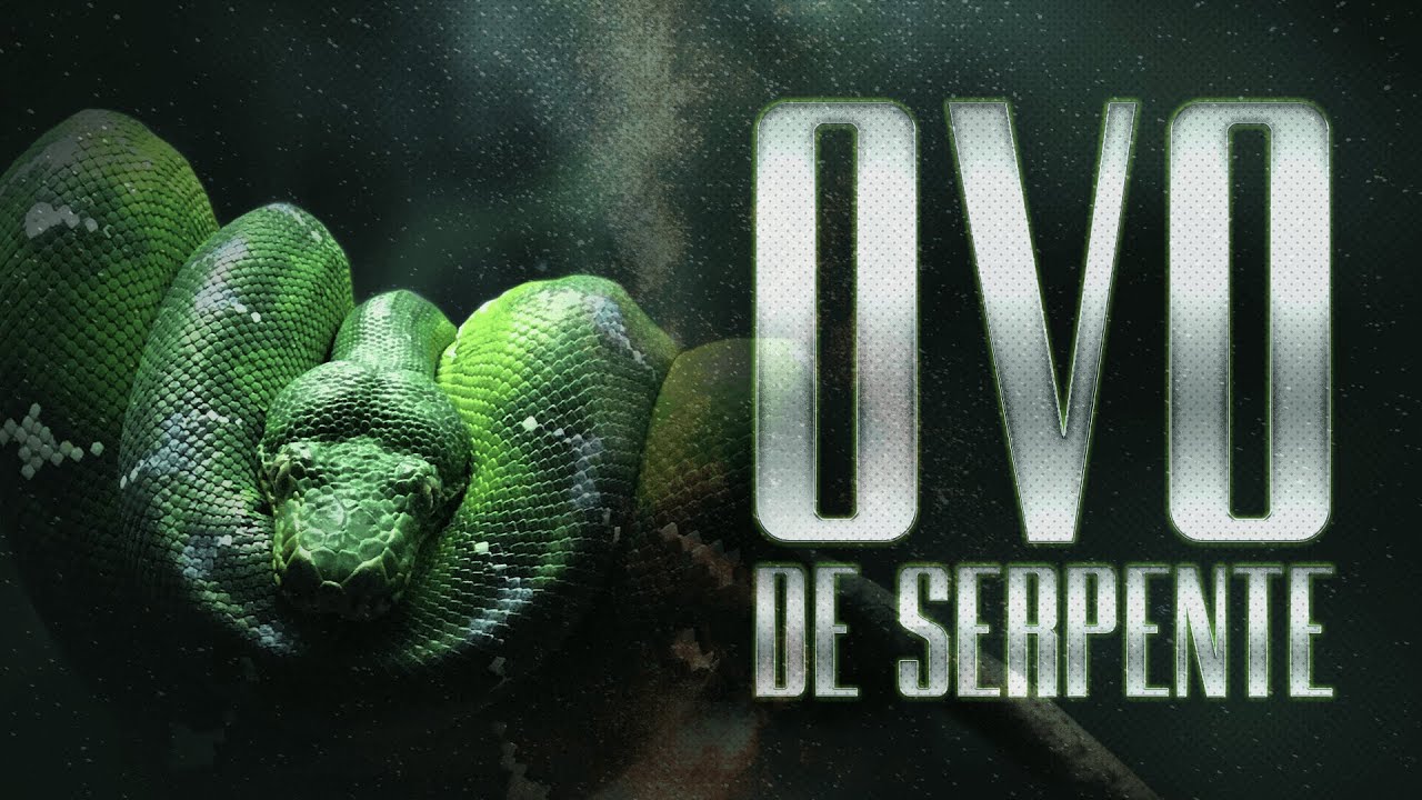 OVO DE SERPENTE - Pr. Hernane Santos