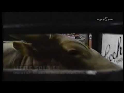 Little Soldier bucks Brian Herman - 03 PBR Raleigh