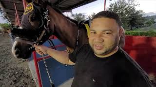 SUMMER PR - Será Dura Rival En La Copa Dama Del Caribe 2021