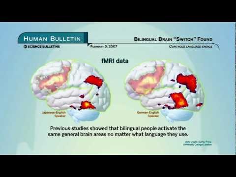 Science Bulletins: Bilingual Brain 'Switch' Found