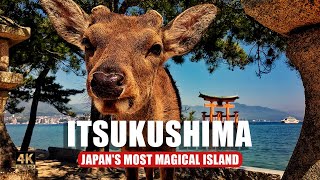 Miyajima. The most magical island of Japan: deer - thieves and a floating shrine  🦌🌊 ⛩️