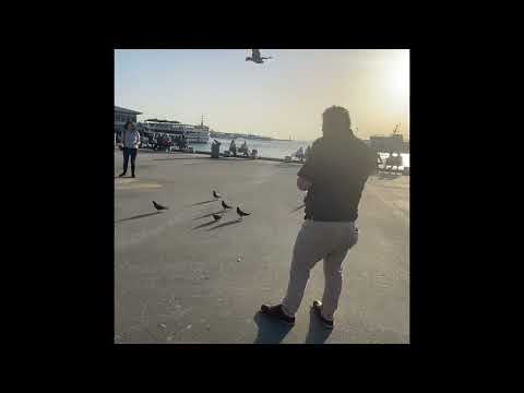 A short trip in Kadikoy ( rihtim and yeldegirmeni) we love cats, they love us 😊