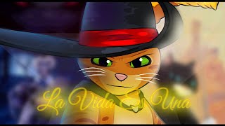 Download lagu Life Is One..😼⭐ - animated music / Puss In Boots 2 / mp3
