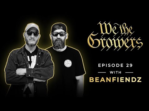 BeanFiendz – E.29