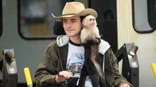 Trailer Preview Image