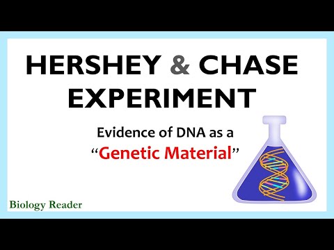 Hershey and Chase Experiment - Definition, Video, Steps & Observation - Biology Reader