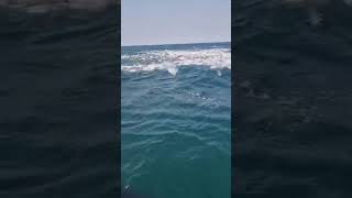 Hôtel Kasa Afrikana