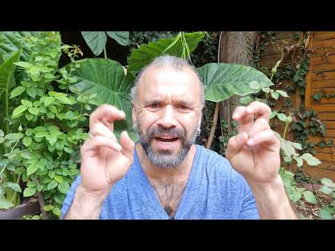 𝗩𝗢𝗜𝗔 𝗟𝗨𝗜 𝗗𝗨𝗠𝗡𝗘𝗭𝗘𝗨. "𝗜𝘂𝗯𝗲𝘀𝘁𝗲-𝘁𝗶 𝗮𝗽𝗿𝗼𝗮𝗽𝗲𝗹𝗲, 𝗰𝗮 𝗽𝗲 𝘁𝗶𝗻𝗲 𝗶𝗻𝘀𝘂𝘁𝗶." 💥𝗟𝗜𝗩𝗘, 𝗝𝗢𝗜 𝟭𝟴.𝟬𝟴, 𝗼𝗿𝗮 𝟮𝟬.𝟯𝟬....