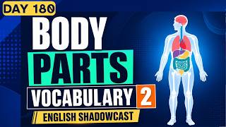 Inner Body Parts Vocabulary | English Shadowing