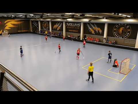 Ervi pohjoinen vs TU Lions aluelopputurnaus erä 3 28.4.2018