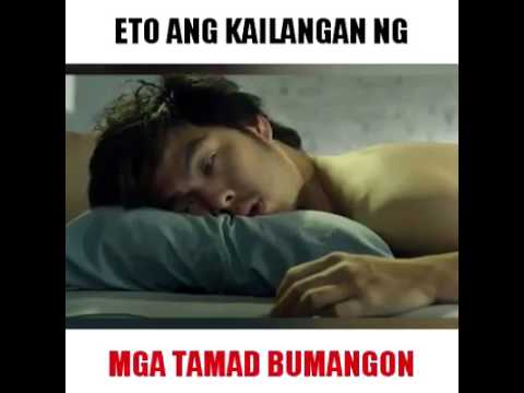 Green kape at luya para sa pagbaba ng timbang gabay Seafood dish slimming