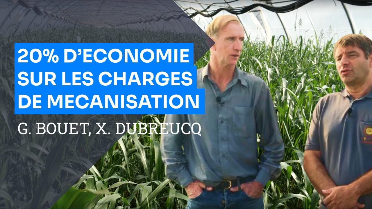 Melon et tomate d'industrie en agriculture de conservation, G. Bouet et X. Dubreucq