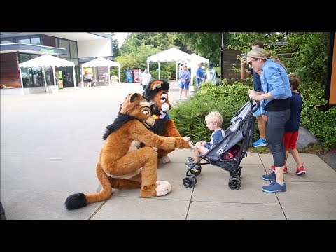 Kitwana's Fursuiting Frenzy - The 2022 Best-of!