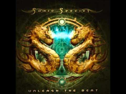Sonic Species and Mr Peculiar-Unleash The Beat