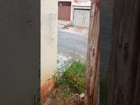 vendo meio lote no bairro parque real em São João del rei mg.medidas 6.50m por 20m.cel 11949212920.