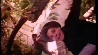 Martin Stephenson and the Daintees Trouble Town