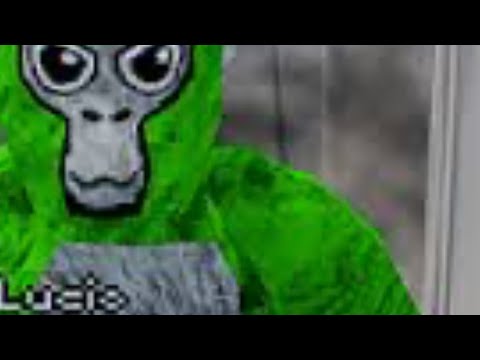 how to Lucio run in Gorilla tag