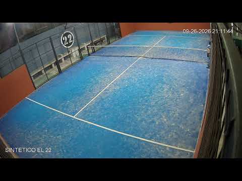 Sintetico el 22 - Carlos Tejedor
