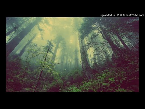 20 minutos de  Sonido de Lluvia y los Animales del Bosque para  Relajarse y Dormir.