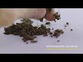 CBD Charas Hash