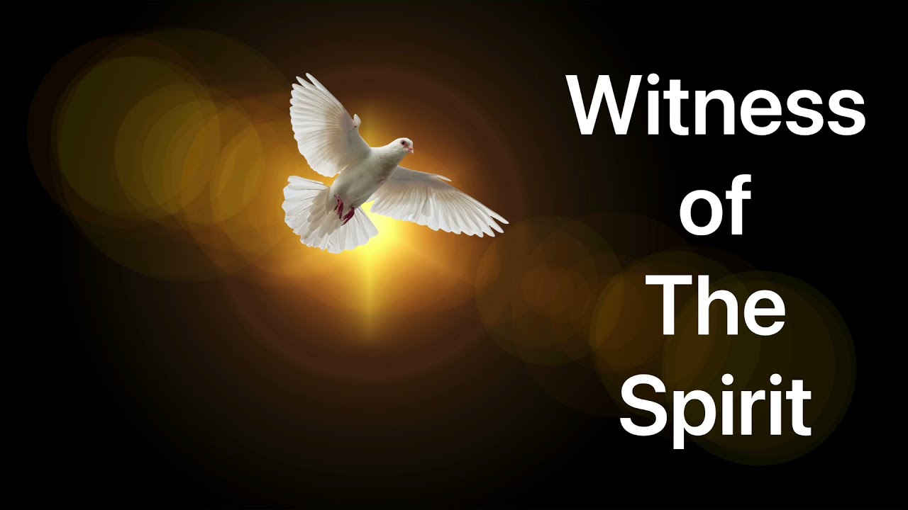 The Witness of the Spirit (Romans 8:16)